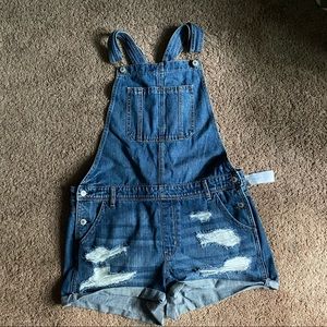 NWT AE Short Overall